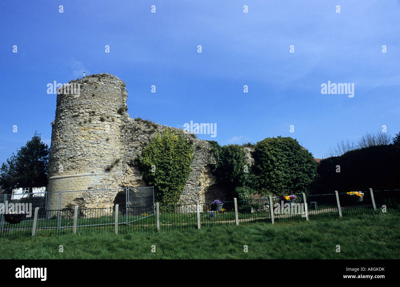 Post Image