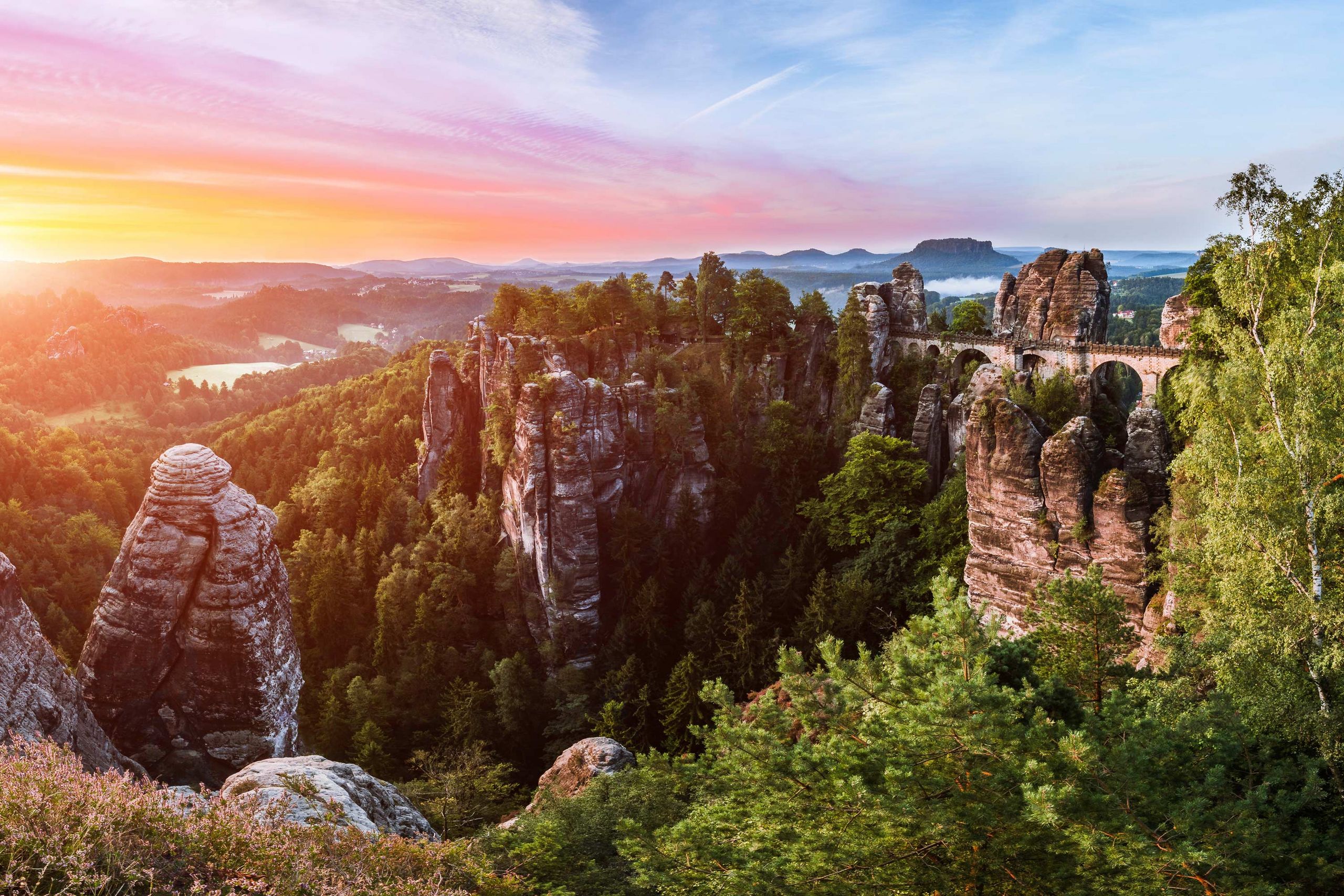 000 Neue Bäume: Großes Naturschutzprojekt Im Nationalpark Sächsische Schweiz 000 Neue Bäume: Großes Naturschutzprojekt Im Nationalpark Sächsische Schweiz