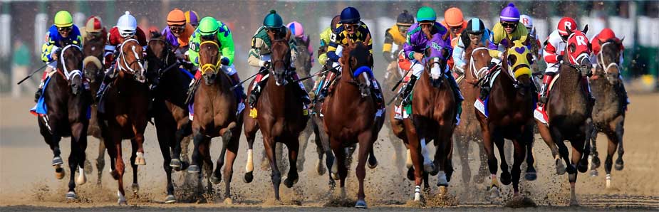 2025 Tampa Bay Derby: Expert Predictions, Odds, And Contenders 2025 Tampa Bay Derby: Expert Predictions, Odds, And Contenders