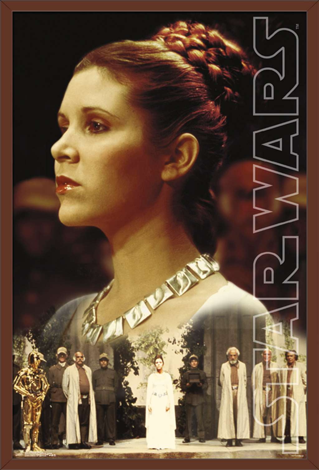 3 Reasons A Princess Leia Cameo In The New Star Wars Show Is Likely 3 Reasons A Princess Leia Cameo In The New Star Wars Show Is Likely