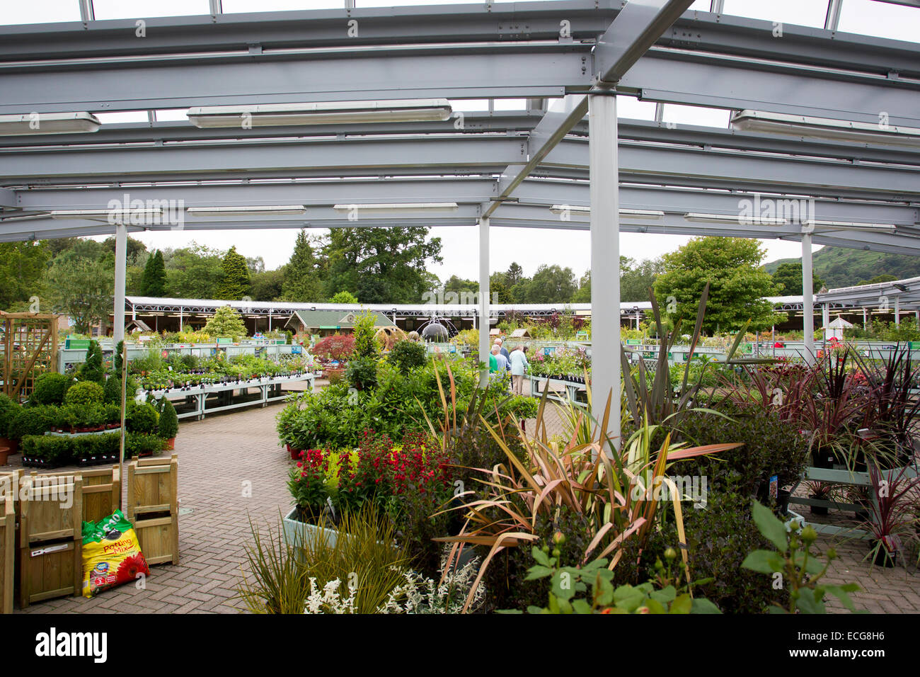 £300 Stolen From Hayes Garden World: Ambleside Couple Investigation £300 Stolen From Hayes Garden World: Ambleside Couple Investigation