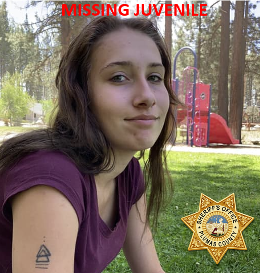 79-Year-Old Missing In Portola Valley: Search Efforts Intensify 79-Year-Old Missing In Portola Valley: Search Efforts Intensify