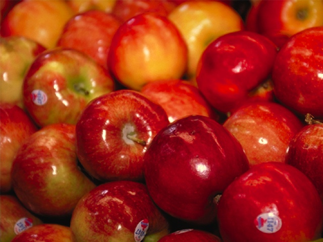 $900 Million Tariff Hit: Apple Stock Takes A Dive $900 Million Tariff Hit: Apple Stock Takes A Dive