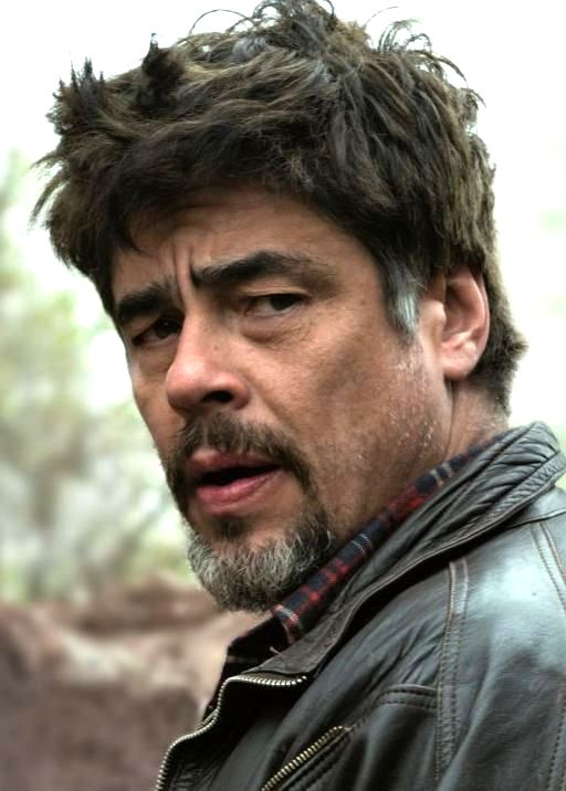 A Scheme For Benicio Del Toro: The Story Behind The Gift A Scheme For Benicio Del Toro: The Story Behind The Gift