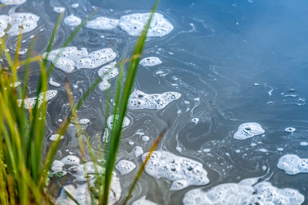 Acque Contaminate: La Diffusione Delle Microplastiche Acque Contaminate: La Diffusione Delle Microplastiche