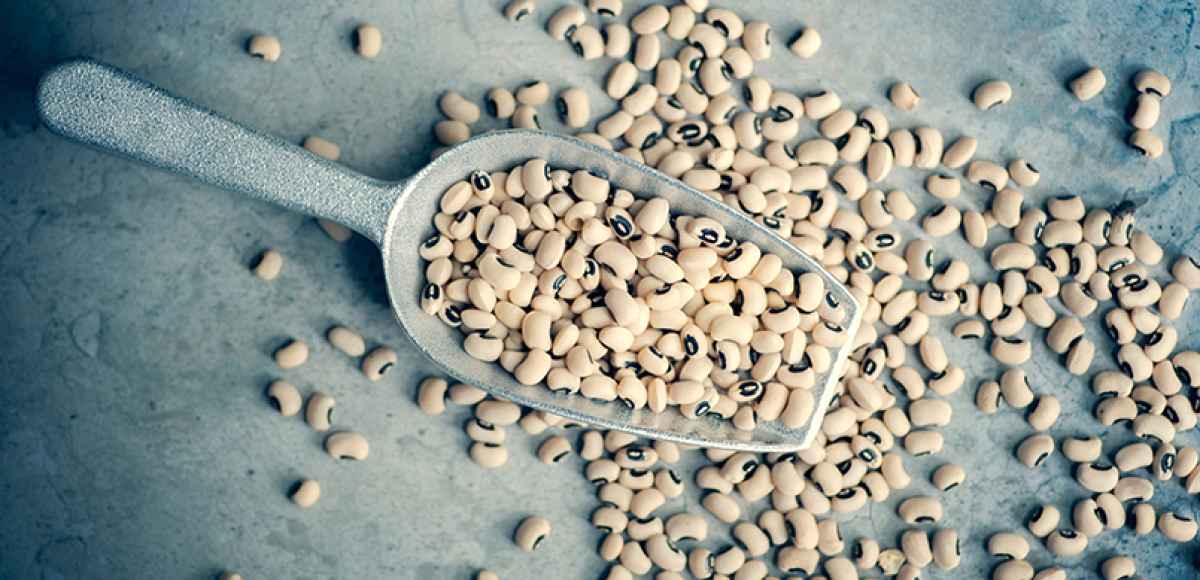 Adiós A Las Enfermedades Crónicas: Este Superalimento Supera Al Arándano En Beneficios Adiós A Las Enfermedades Crónicas: Este Superalimento Supera Al Arándano En Beneficios