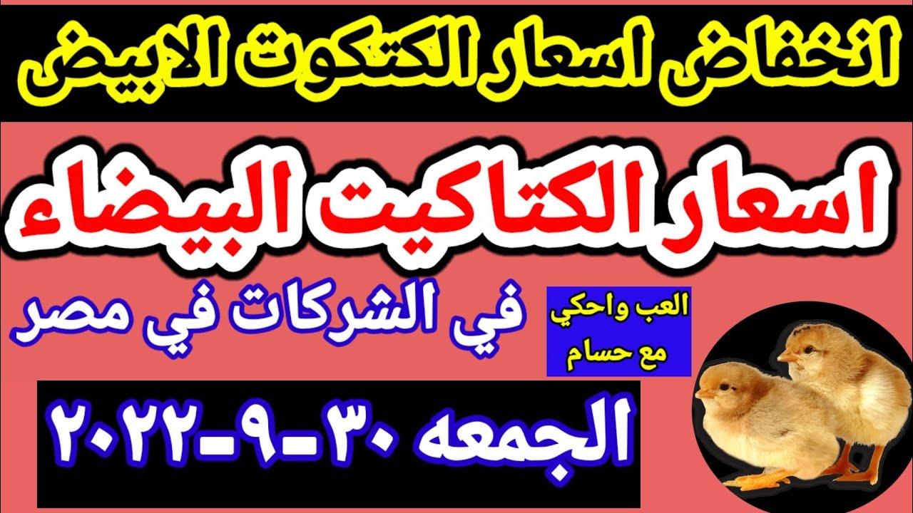 آخر تحديث لأسعار الكتاكيت في مصر اليوم الاثنين 14-4-2025
