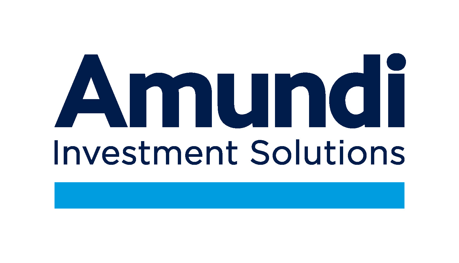 Amundi MSCI World Catholic Principles UCITS ETF: Factors Affecting Net Asset Value Amundi MSCI World Catholic Principles UCITS ETF: Factors Affecting Net Asset Value