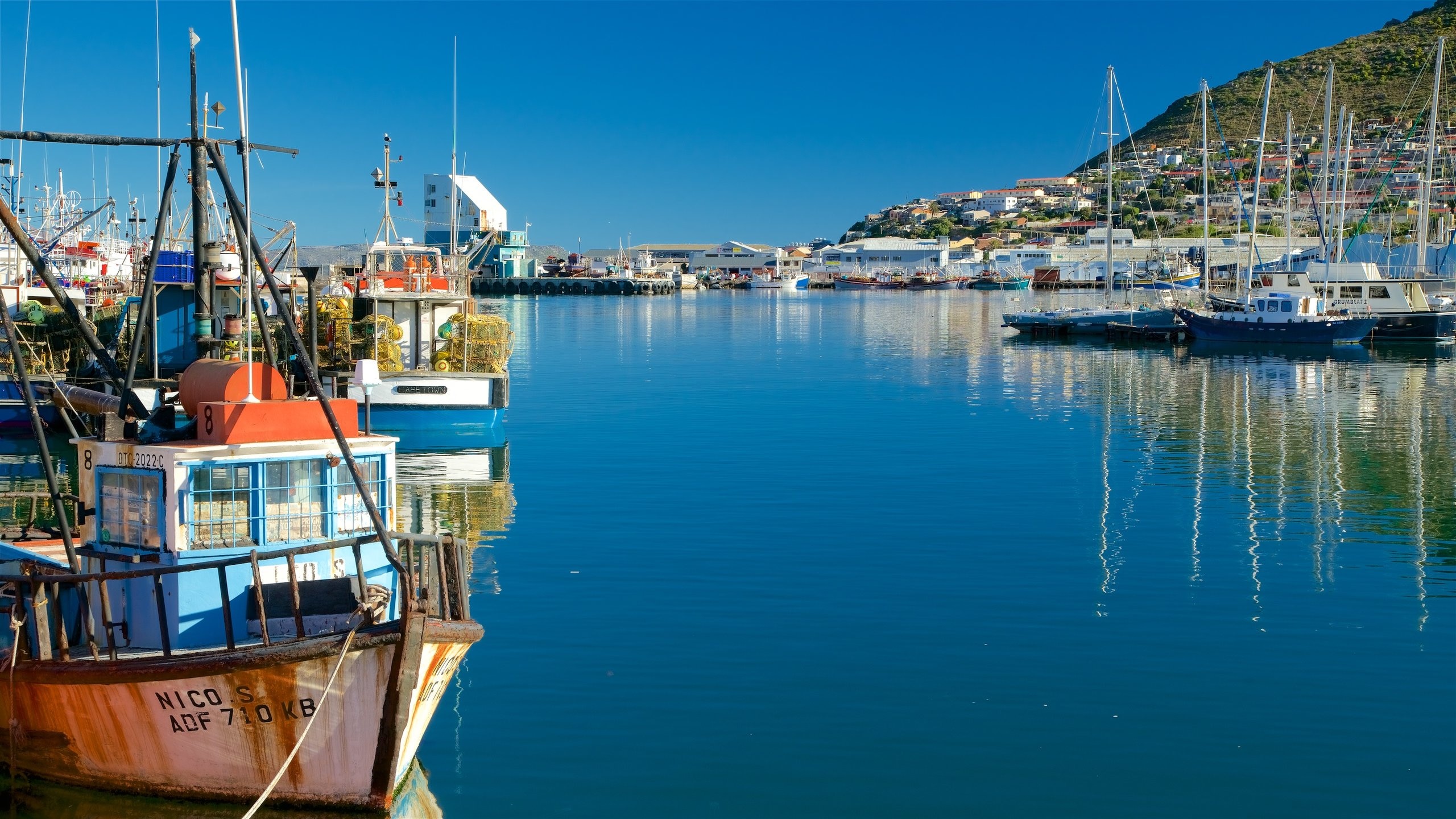 Analyzing Hout Bay FC's Success Under The Klopp Influence Analyzing Hout Bay FC's Success Under The Klopp Influence