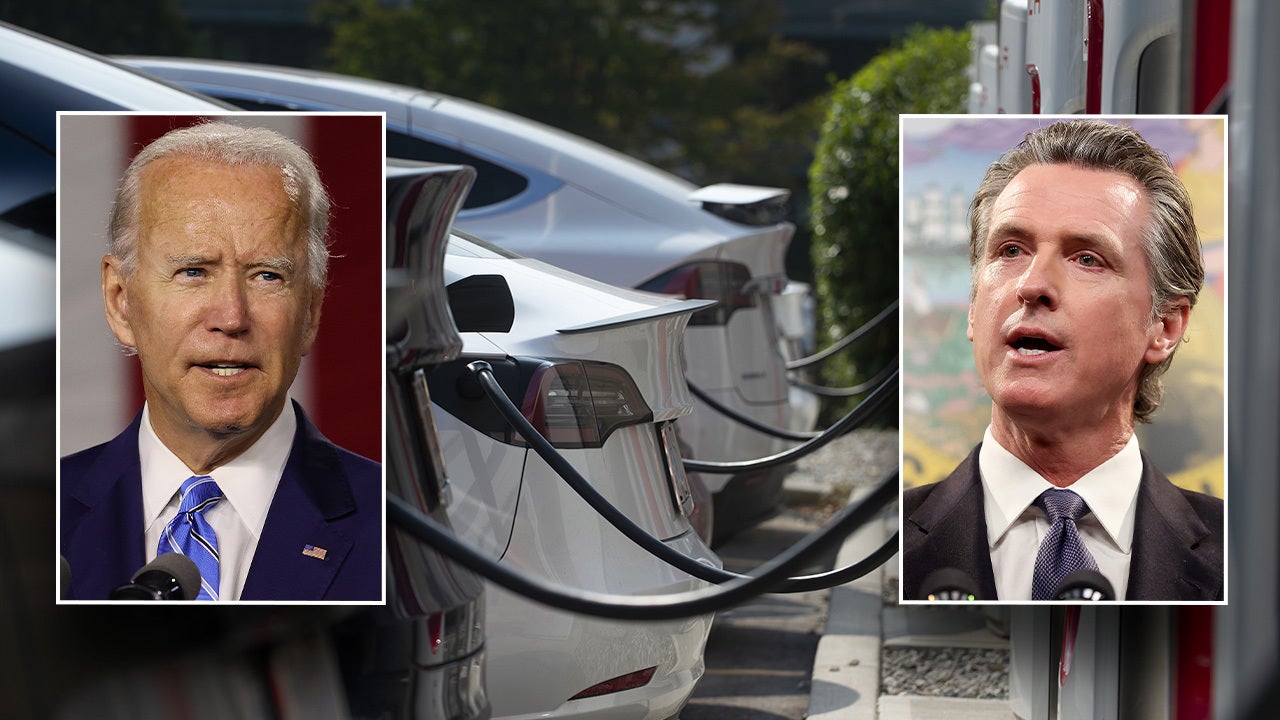 Auto Dealerships Intensify Opposition To Government EV Mandates Auto Dealerships Intensify Opposition To Government EV Mandates