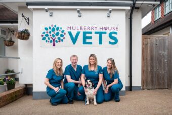 BBC Investigation: Vets Under Pressure To Prioritize Profit BBC Investigation: Vets Under Pressure To Prioritize Profit