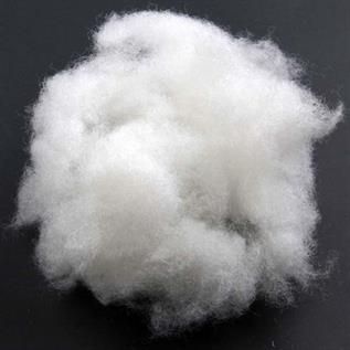Bell Calls For Change: Wholesale Fibre Policy Under Fire Bell Calls For Change: Wholesale Fibre Policy Under Fire