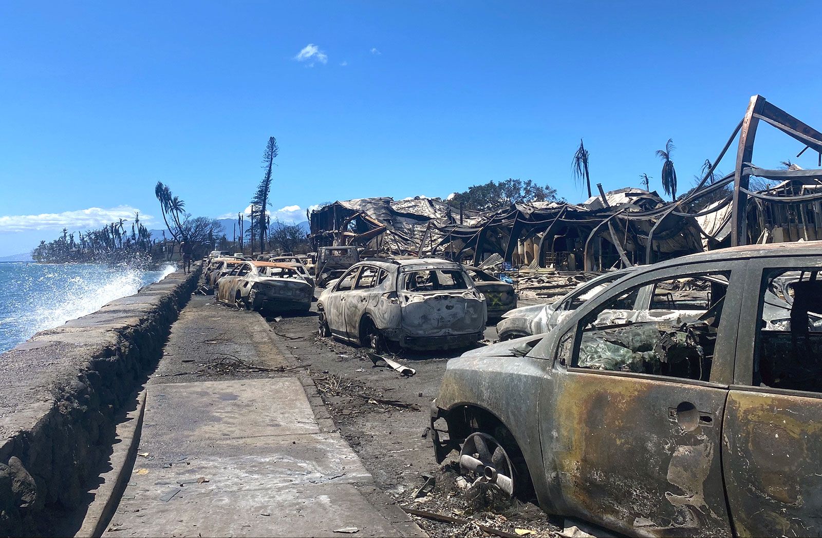 Betting On Natural Disasters: The LA Wildfires And The Changing Landscape Of Gambling Betting On Natural Disasters: The LA Wildfires And The Changing Landscape Of Gambling