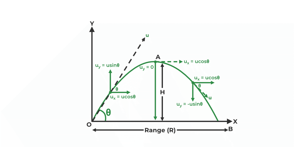 Bitcoin's Trajectory: A 1,500% Growth Possibility Bitcoin's Trajectory: A 1,500% Growth Possibility