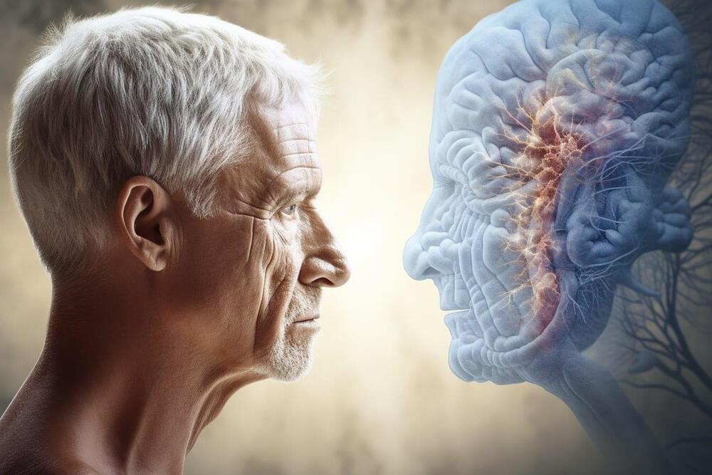 Brain Iron, ADHD, And Aging: Exploring The Impact On Cognitive Function Brain Iron, ADHD, And Aging: Exploring The Impact On Cognitive Function