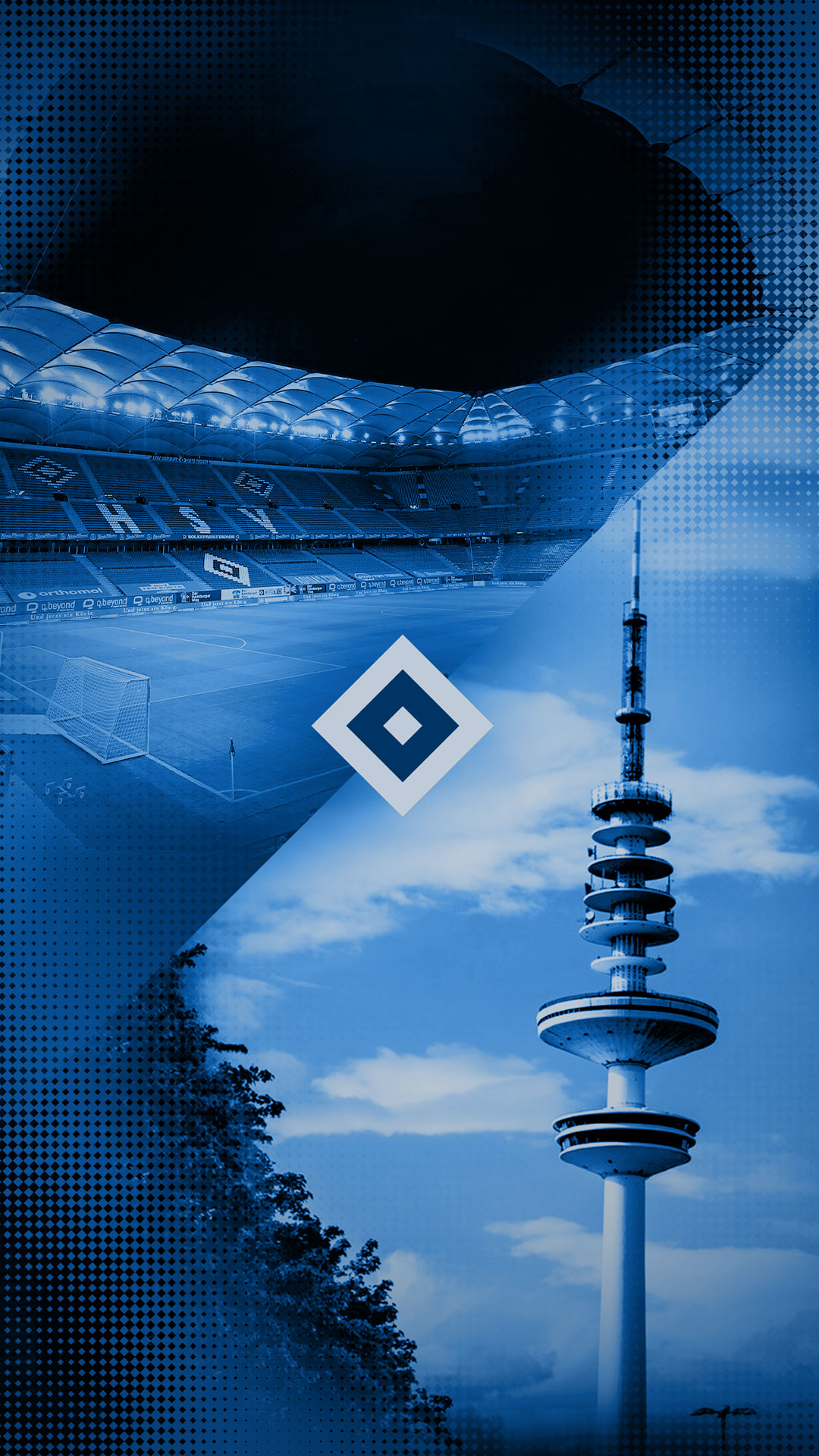 Bundesliga-Aufstieg: Der HSV Und Seine Fans Im Jubelrausch Bundesliga-Aufstieg: Der HSV Und Seine Fans Im Jubelrausch