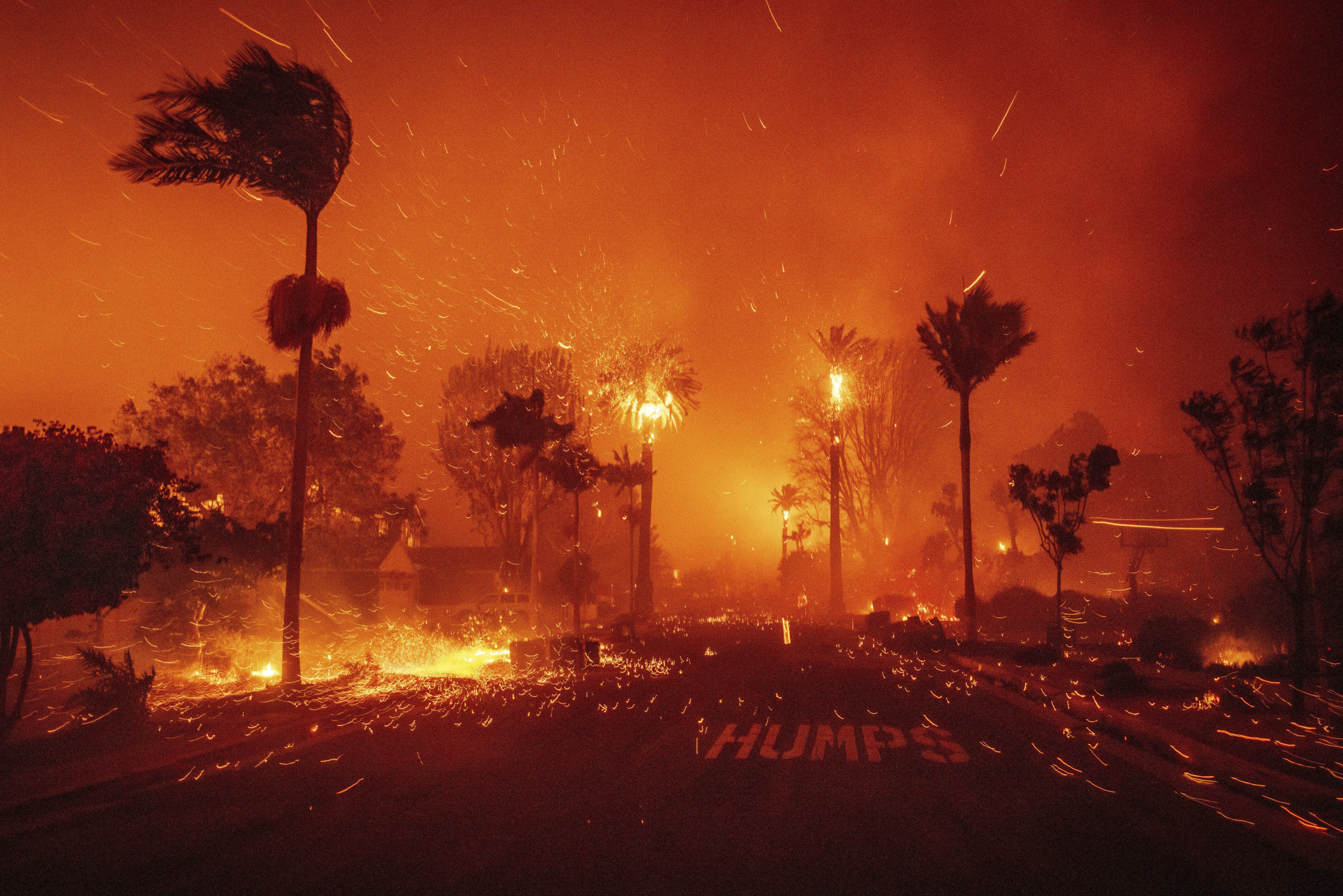 Celebrities Who Lost Homes In The LA Palisades Fires: A Complete List Celebrities Who Lost Homes In The LA Palisades Fires: A Complete List