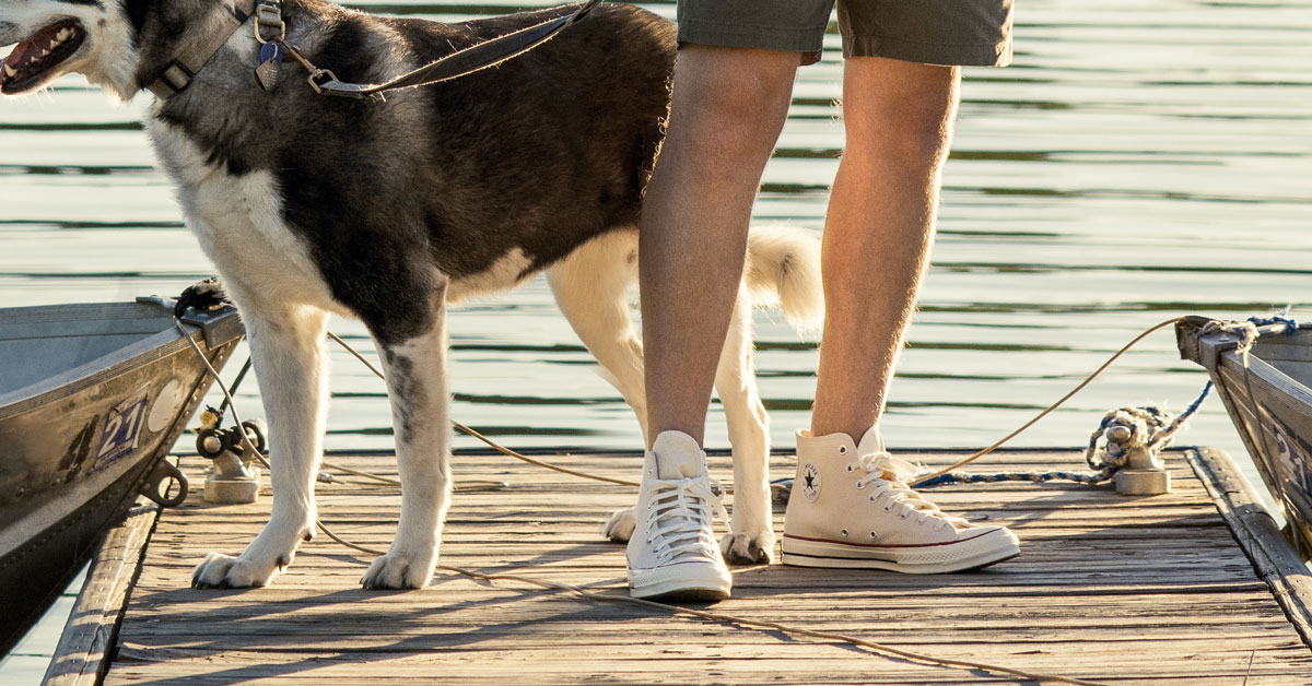 Celebrity-Loved Affordable Nike Sneakers: Top Picks Celebrity-Loved Affordable Nike Sneakers: Top Picks