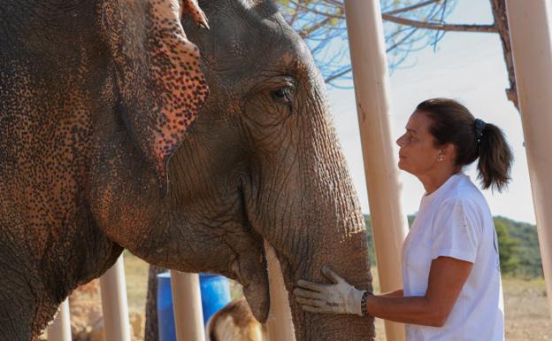 Charlène De Mónaco Y Su Refugio En Roc Agel: Una Mirada A La Propiedad Charlène De Mónaco Y Su Refugio En Roc Agel: Una Mirada A La Propiedad