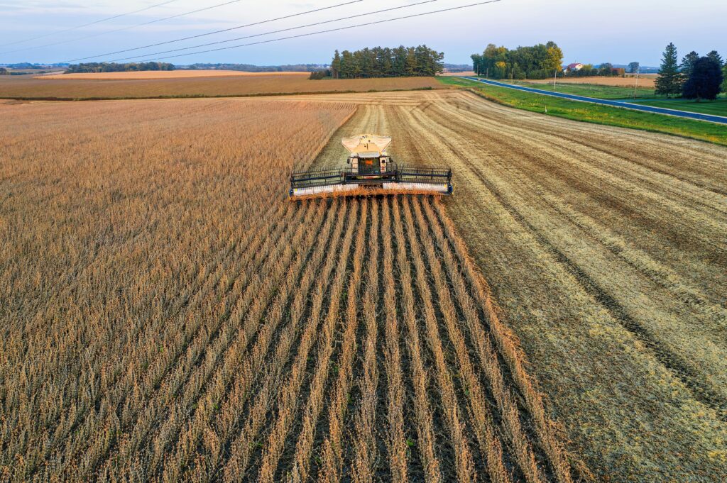 China's Soybean Supply Crisis: Sinograin's Response Through Auction China's Soybean Supply Crisis: Sinograin's Response Through Auction