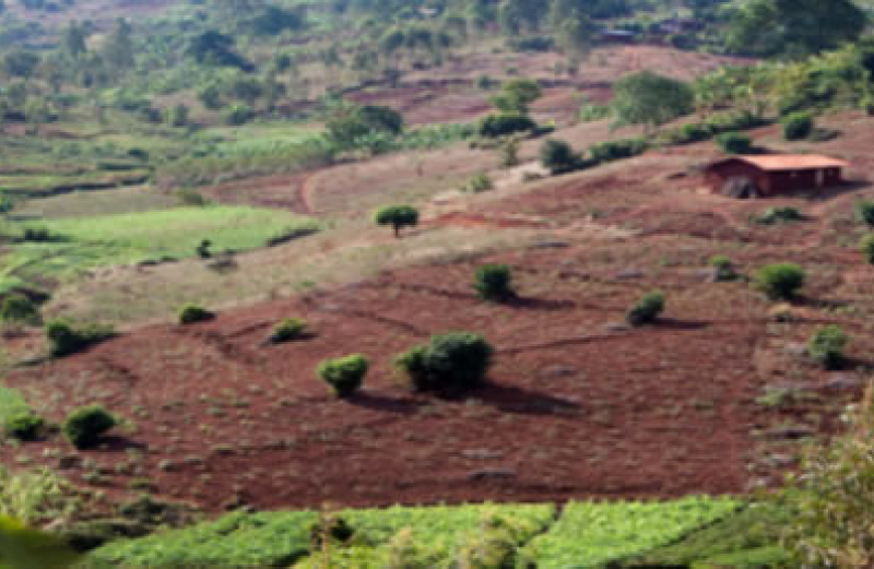 Climate Change Adaptation And The Future Of Work In Africa Climate Change Adaptation And The Future Of Work In Africa