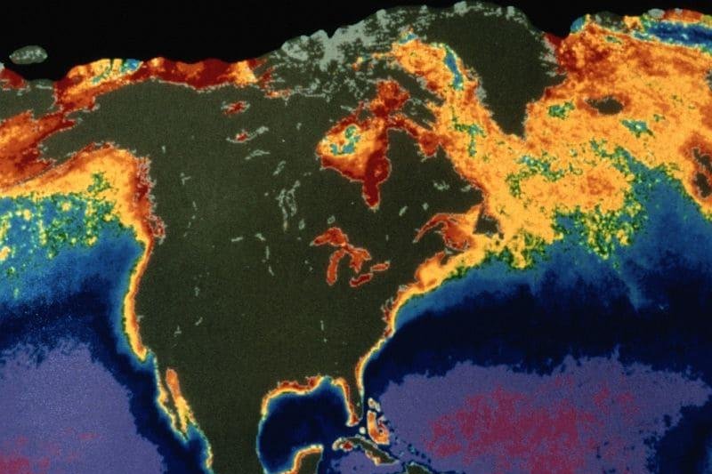 Climate Change And The Rise Of Internal Fungus Infections Climate Change And The Rise Of Internal Fungus Infections