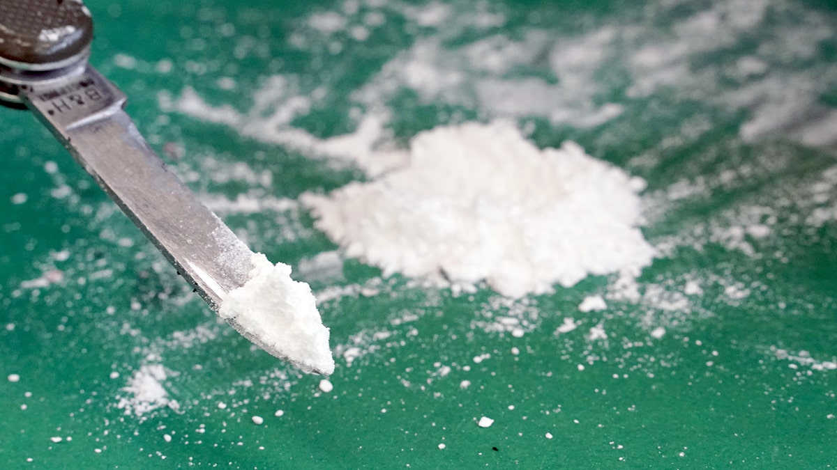 Cocaine Found At White House: Secret Service Investigation Results Released Cocaine Found At White House: Secret Service Investigation Results Released