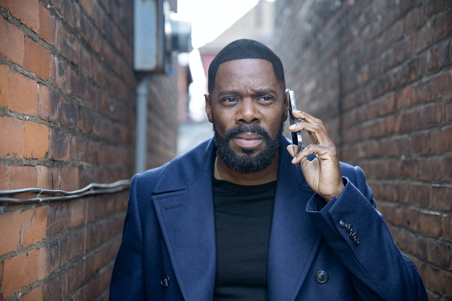 Colman Domingo: From Craigslist Romance To Oscar Nomination – A Netflix Four Seasons Story Colman Domingo: From Craigslist Romance To Oscar Nomination – A Netflix Four Seasons Story
