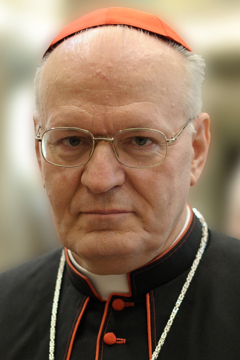 Conclave 2024: Profiling The Potential Successors To Pope Francis Conclave 2024: Profiling The Potential Successors To Pope Francis