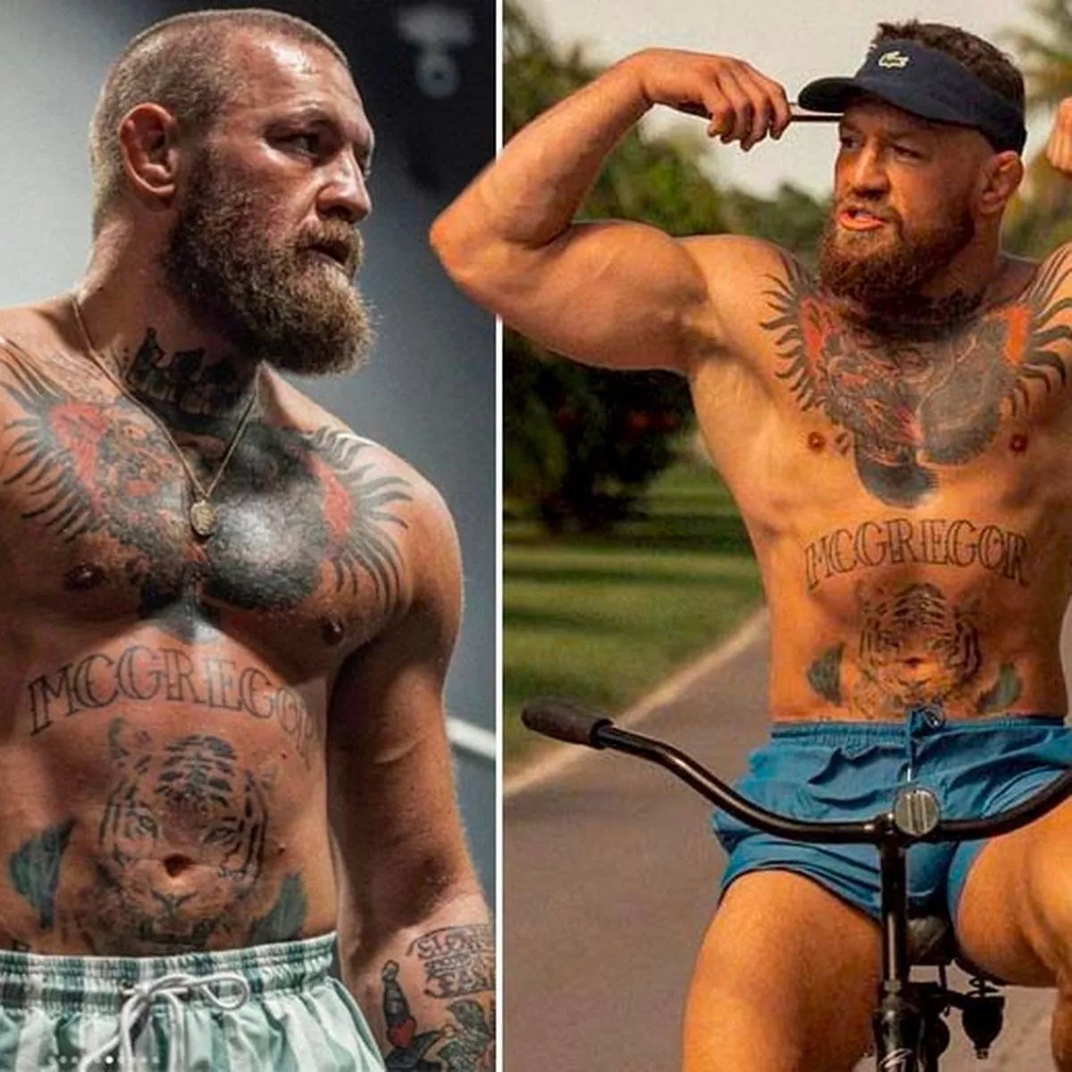 Conor McGregor's Latest Fox News Appearance: A Critical Analysis Conor McGregor's Latest Fox News Appearance: A Critical Analysis