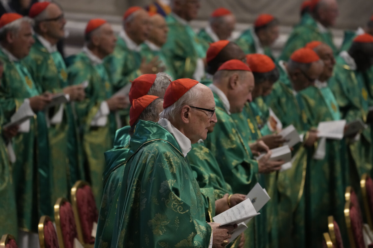 Could Cardinals Be The Next Pope? Exploring The Possibilities Could Cardinals Be The Next Pope? Exploring The Possibilities