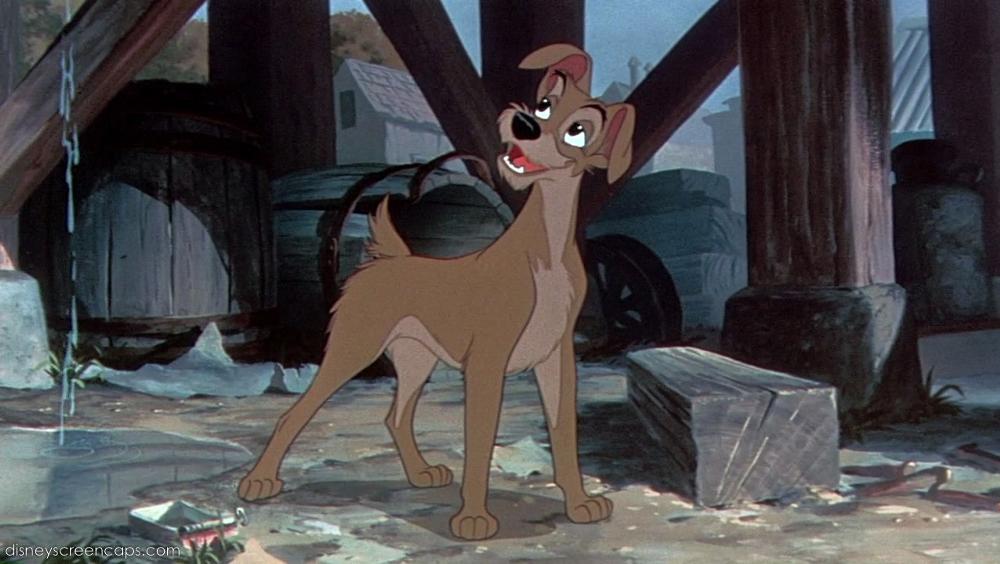 Cubs Game: Lady And The Tramp Hot Dog Moment Goes Viral Cubs Game: Lady And The Tramp Hot Dog Moment Goes Viral