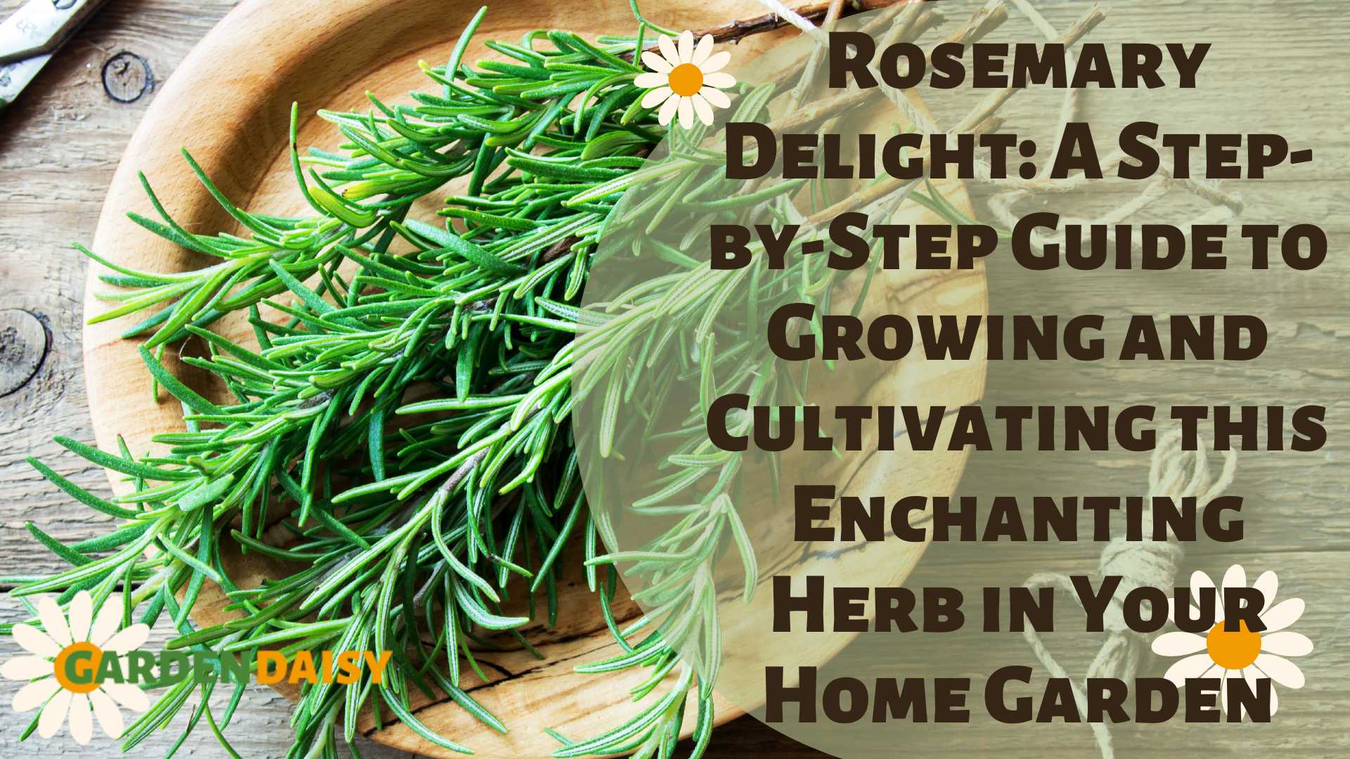 Cultivating Rosemary & Thyme: A Step-by-Step Guide Cultivating Rosemary & Thyme: A Step-by-Step Guide