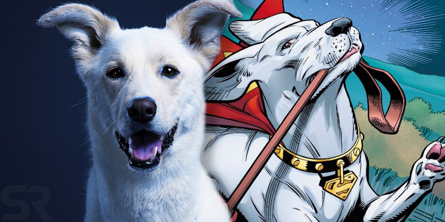 DC's Krypto: The Last Dog Of Krypton - Production, Cast And Reception DC's Krypto: The Last Dog Of Krypton - Production, Cast And Reception