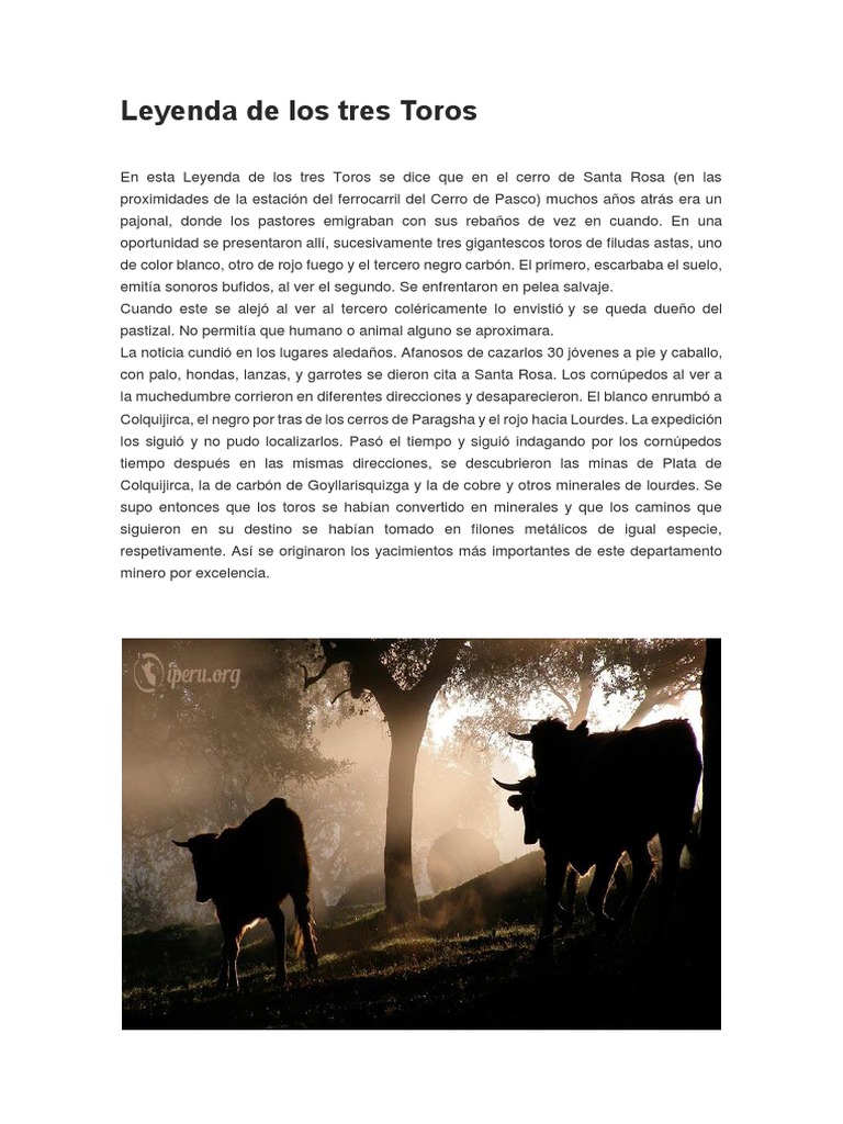 De Uruguay A China: Los Tres Toros Regalo Para Xi Jinping Inician Su Viaje De Uruguay A China: Los Tres Toros Regalo Para Xi Jinping Inician Su Viaje