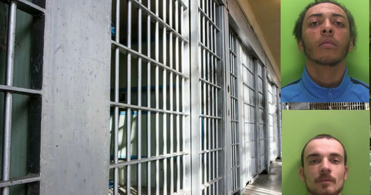 Deborah Taylor, Becker's Jailing Judge, Heads Nottingham Attacks Inquiry Deborah Taylor, Becker's Jailing Judge, Heads Nottingham Attacks Inquiry
