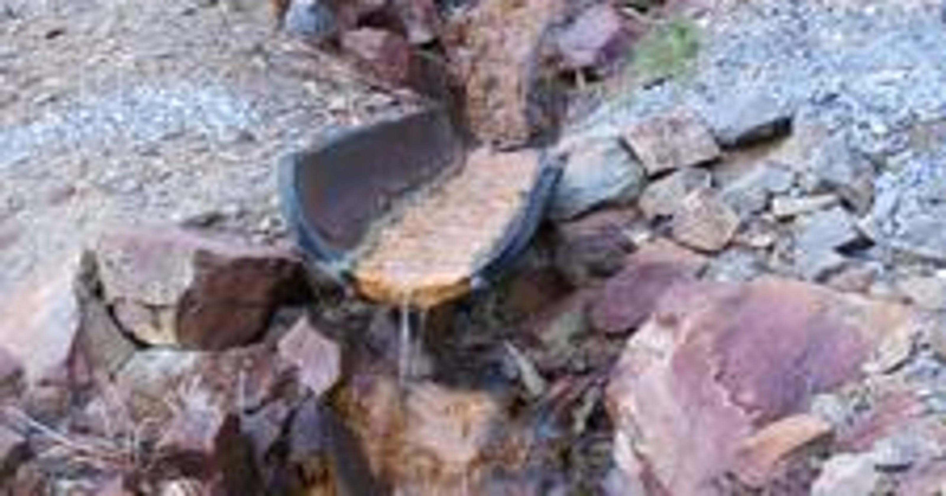 Deep In Abandoned Gold Mines: A Toxic Legacy Deep In Abandoned Gold Mines: A Toxic Legacy