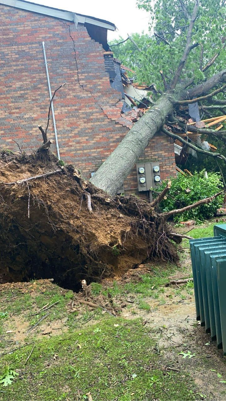 Delays In Kentucky Storm Damage Assessments Explained Delays In Kentucky Storm Damage Assessments Explained