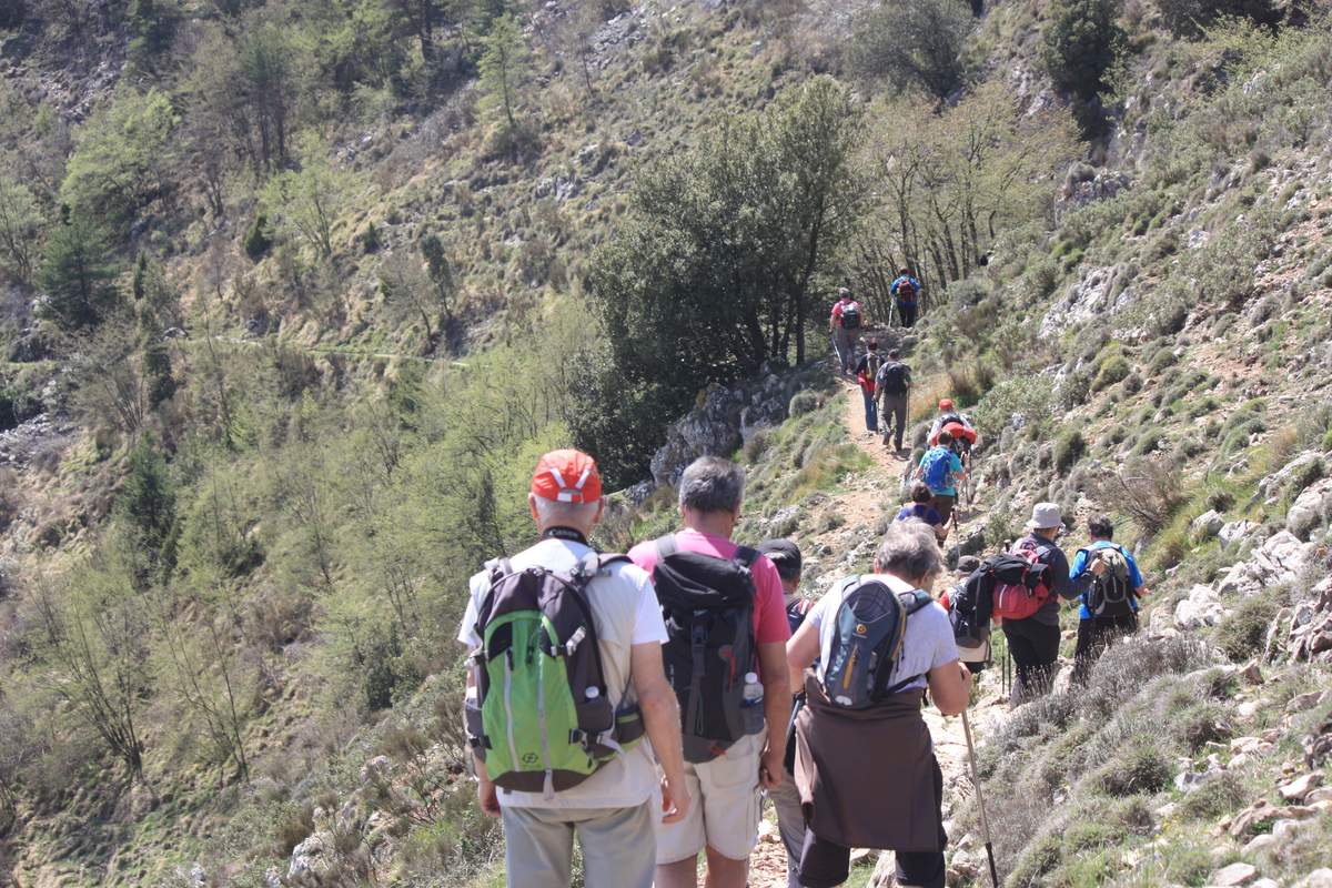 Descubriendo Roc Agel: La Historia Detrás Del Refugio De Charlène En Mónaco