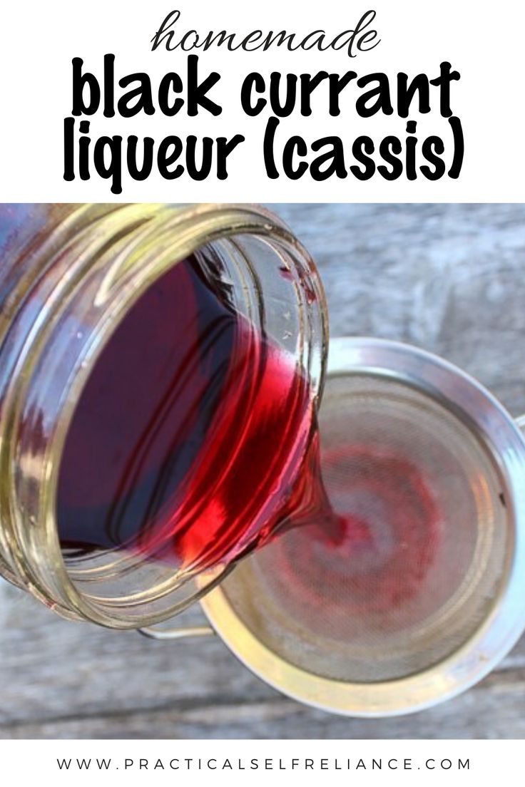 Discover The World Of Cassis Blackcurrant Discover The World Of Cassis Blackcurrant