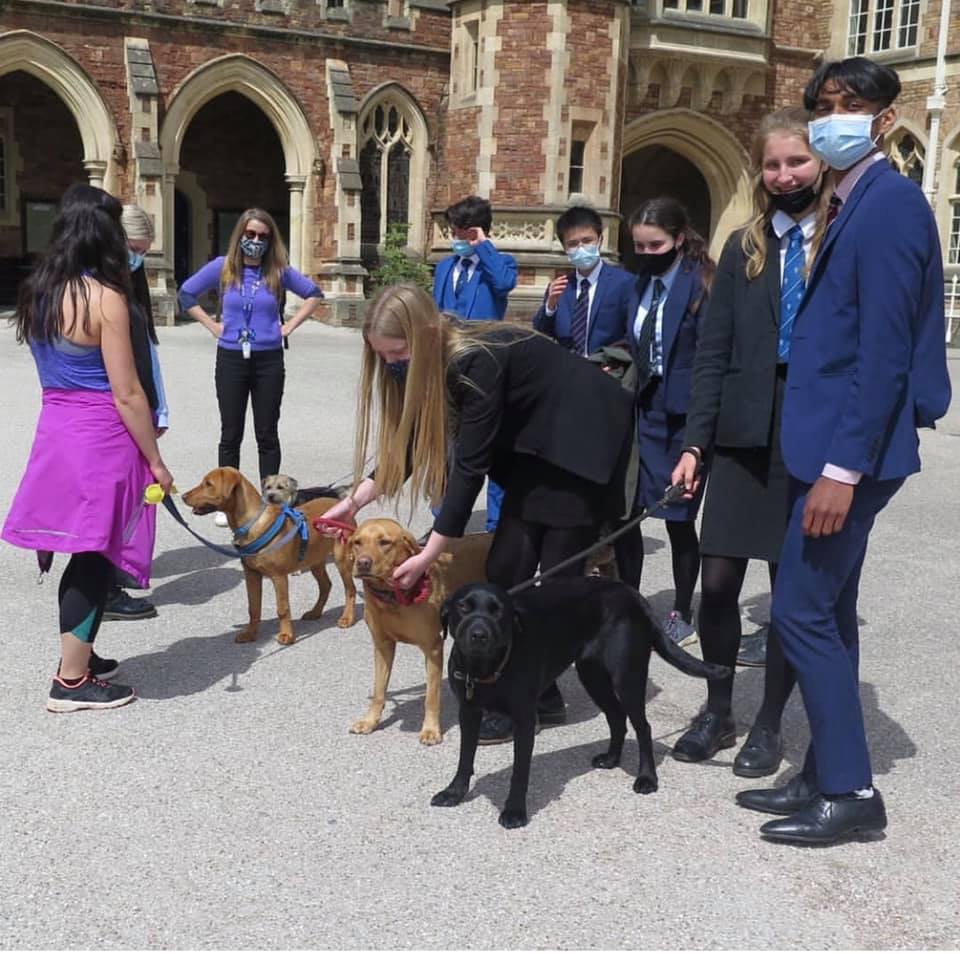 Dog Walk In Didcot For Mental Health Awareness Week Dog Walk In Didcot For Mental Health Awareness Week