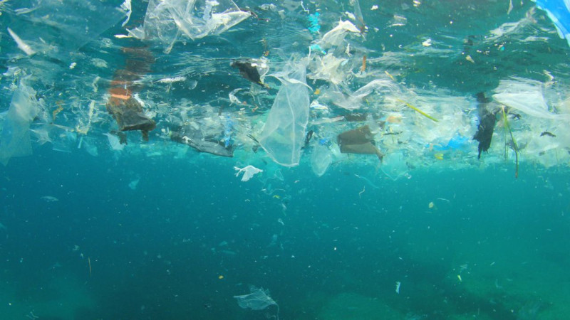 Dove Si Trovano Le Maggiori Concentrazioni Di Microplastiche Nell'acqua? Dove Si Trovano Le Maggiori Concentrazioni Di Microplastiche Nell'acqua?