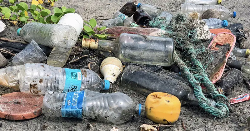 Dove Sono Più Alte Le Concentrazioni Di Microplastiche Nell'acqua? Dove Sono Più Alte Le Concentrazioni Di Microplastiche Nell'acqua?