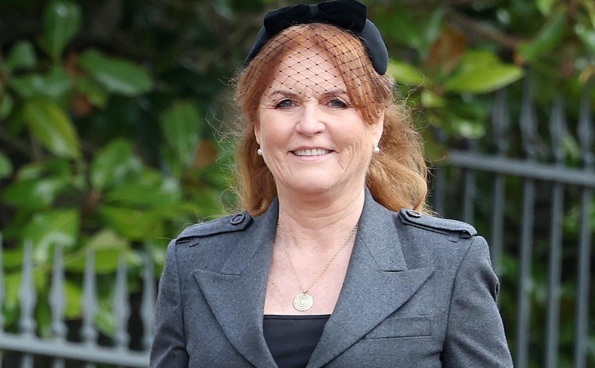 Duchess Of York Offered To Help Source PPE During COVID-19 Pandemic, Inquiry Hears Duchess Of York Offered To Help Source PPE During COVID-19 Pandemic, Inquiry Hears