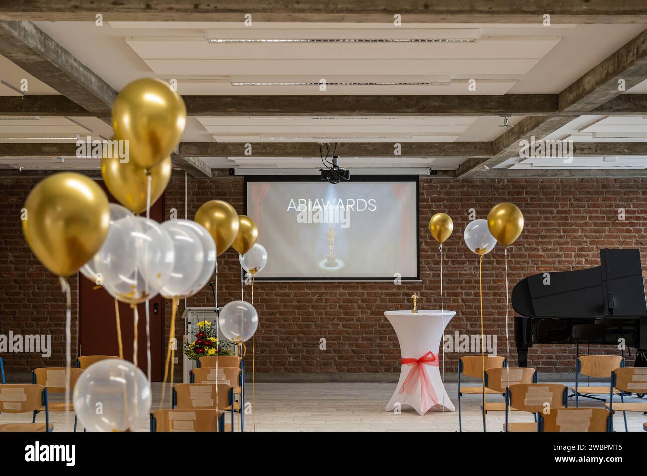 Early Birthday Surprise: A King's Party Preparations Early Birthday Surprise: A King's Party Preparations