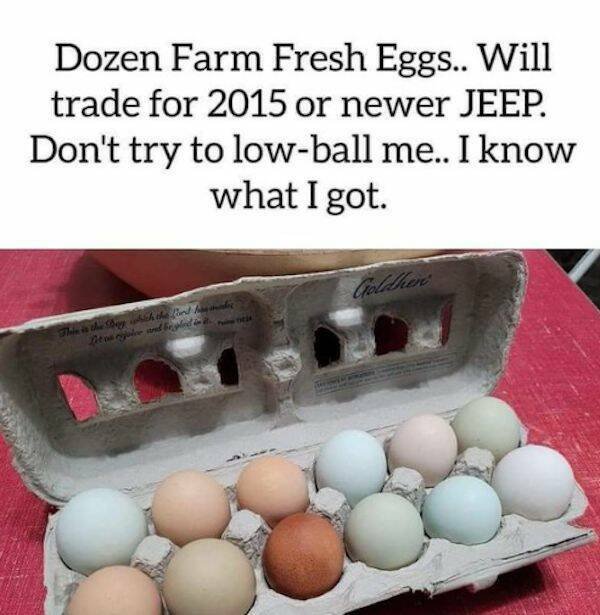 Egg Price Relief: Dozens Drop To $5 In The US Egg Price Relief: Dozens Drop To $5 In The US