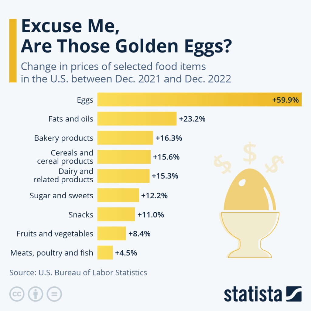 Egg Prices Plummet: Dozen Now $5 After Record Highs Egg Prices Plummet: Dozen Now $5 After Record Highs