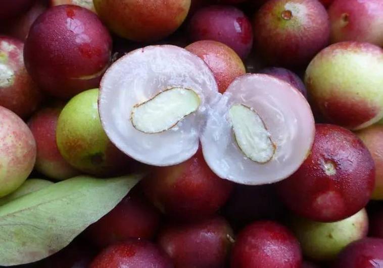 El Superalimento Que Combate Las Enfermedades Crónicas: Más Allá Del Arándano El Superalimento Que Combate Las Enfermedades Crónicas: Más Allá Del Arándano