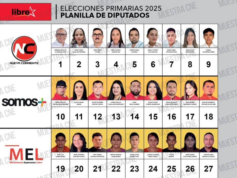 Elecciones Primarias 2025: Lo Que El CNE Ya Ha Anunciado Elecciones Primarias 2025: Lo Que El CNE Ya Ha Anunciado