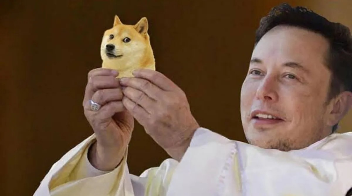 Elon Musk And Dogecoin: A Look At Tesla's Stock Performance And DOGE's Price Elon Musk And Dogecoin: A Look At Tesla's Stock Performance And DOGE's Price